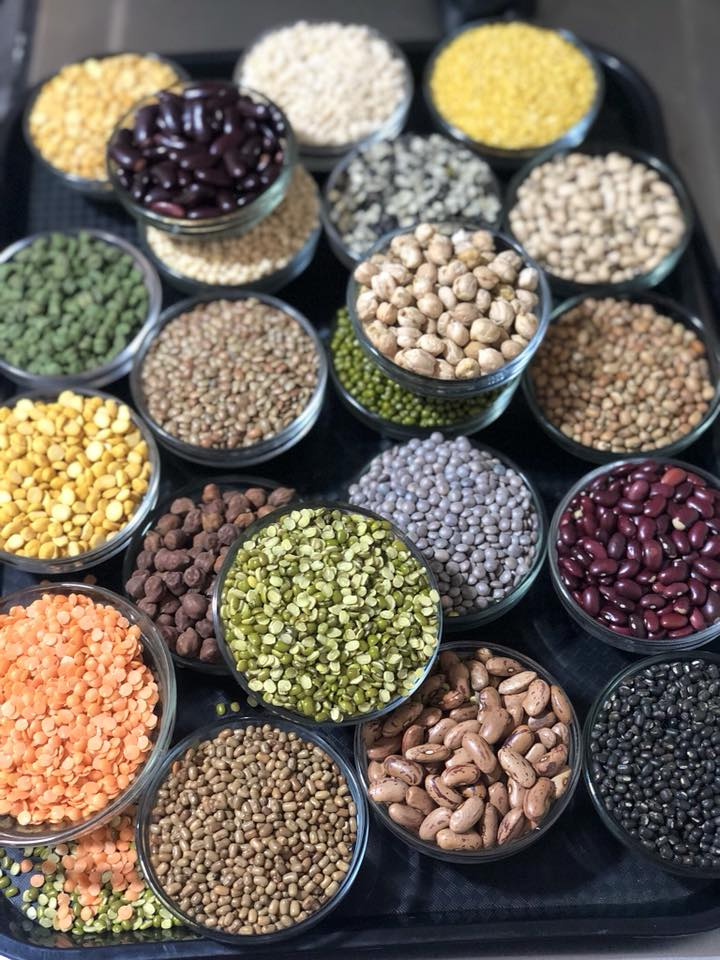 Pulses & Lentils