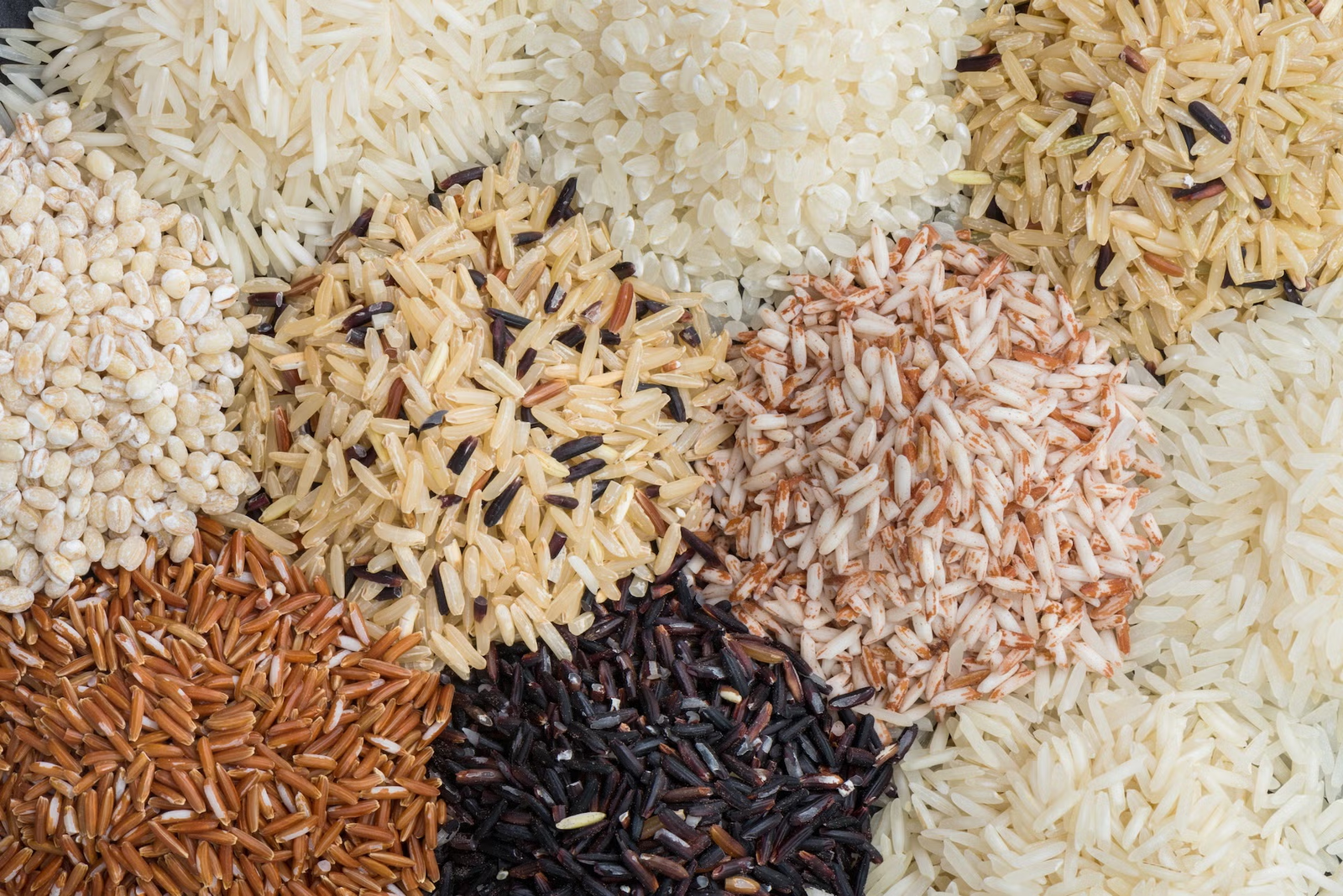 Basmati Rice